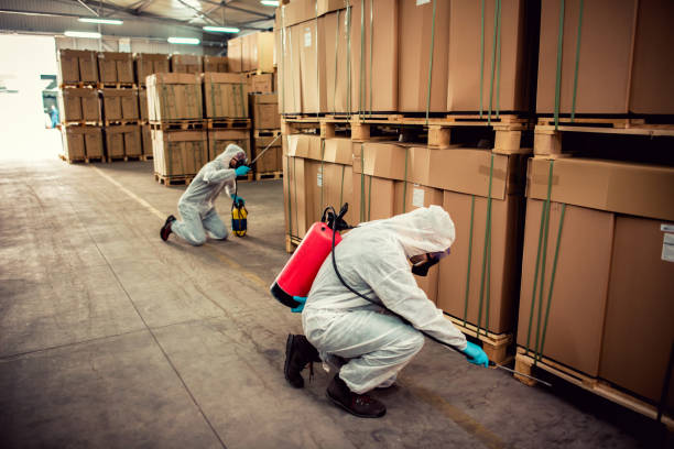 Best Wildlife Control Services  in Elsmere, KY