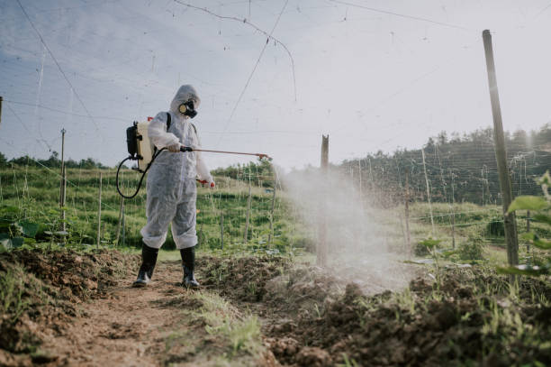 Best Pest Removal Services  in Elsmere, KY
