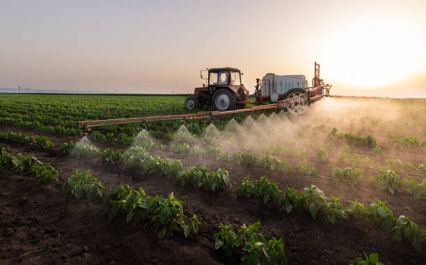 Best Pest Prevention Services  in Elsmere, KY
