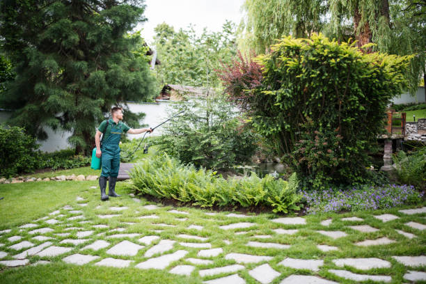 Best Pest Prevention Services  in Elsmere, KY