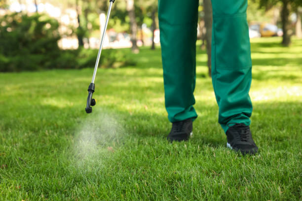 Wasp Removal Services in Elsmere, KY