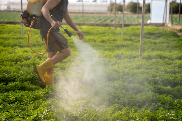 Best Best Pest Control Companies  in Elsmere, KY