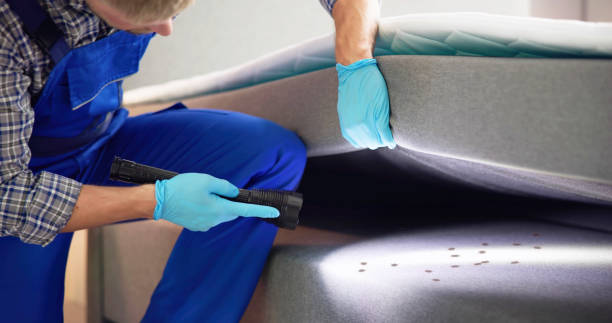 Pest Prevention Services in Elsmere, KY