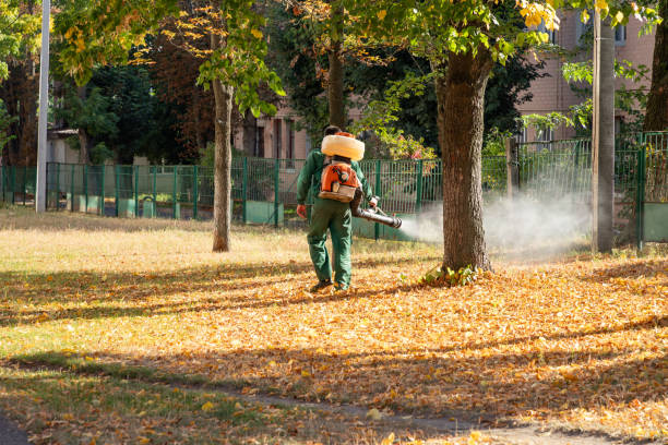 Best Exterminator Services  in Elsmere, KY
