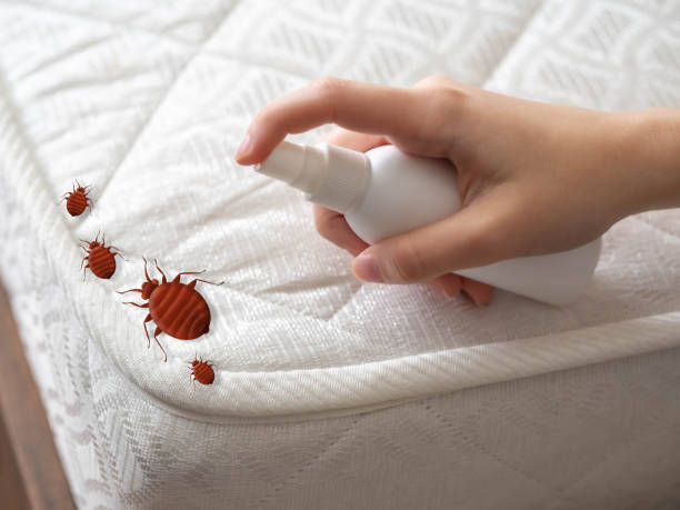 Best Commercial Pest Control Services  in Elsmere, KY