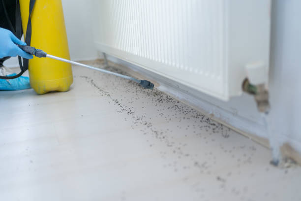 Pest Control for Restaurants in Elsmere, KY
