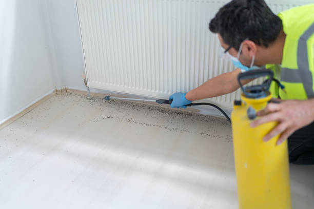 Best Pest Prevention Services  in Elsmere, KY
