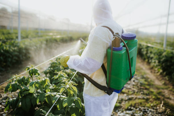 Best Emergency Pest Control  in Elsmere, KY